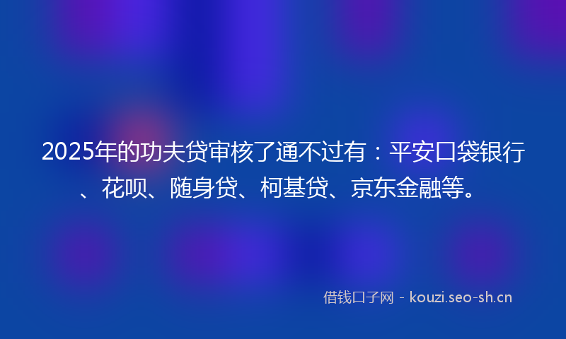 2025年的功夫贷审核了通不过有：平安口袋银行、花呗、随身贷、柯基贷、京东金融等。