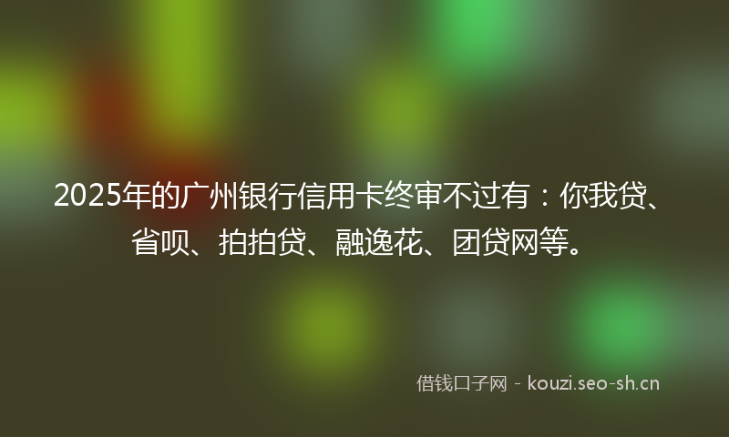 2025年的广州银行信用卡终审不过有：你我贷、省呗、拍拍贷、融逸花、团贷网等。