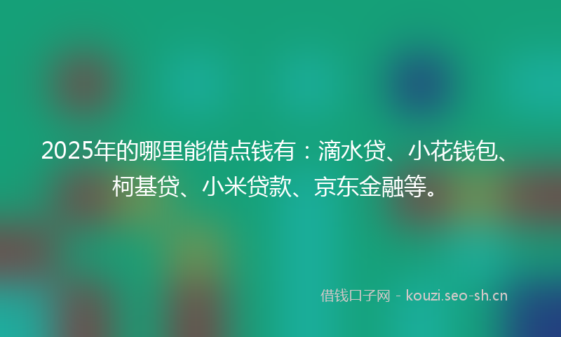 2025年的哪里能借点钱有：滴水贷、小花钱包、柯基贷、小米贷款、京东金融等。