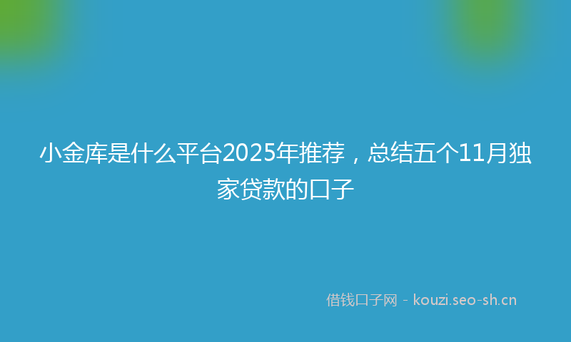 小金库是什么平台2025年推荐,总结五个11月独家贷款的口子