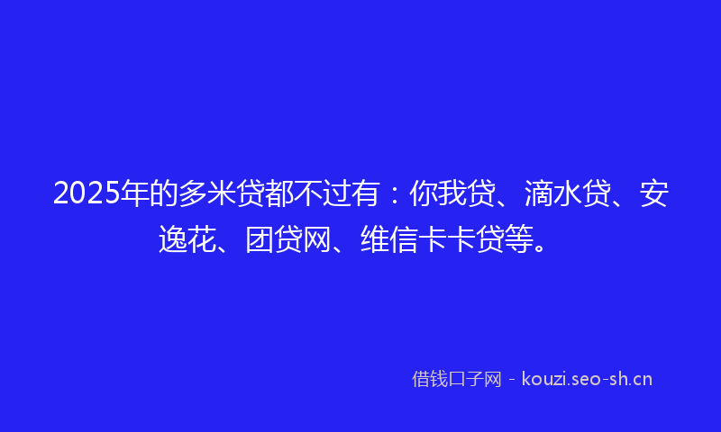 2025年的多米贷都不过有：你我贷、滴水贷、安逸花、团贷网、维信卡卡贷等。