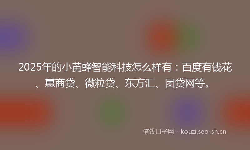 2025年的小黄蜂智能科技怎么样有：百度有钱花、惠商贷、微粒贷、东方汇、团贷网等。