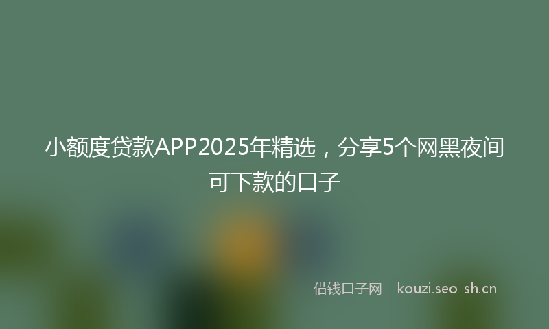小额度贷款APP2025年精选，分享5个网黑夜间可下款的口子