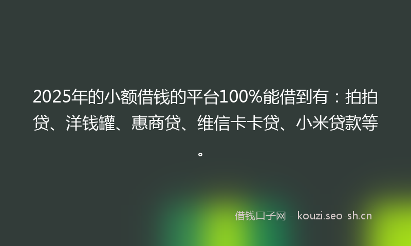 2025年的小额借钱的平台100%能借到有：拍拍贷、洋钱罐、惠商贷、维信卡卡贷、小米贷款等。