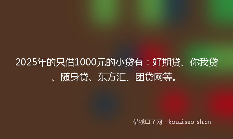 2025年的只借1000元的小贷有:好期贷、你我贷、随身贷、东方汇、团贷网等。
