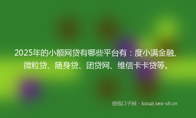 2025年的小额网贷有哪些平台有：度小满金融、微粒贷、随身贷、团贷网、维信卡卡贷等。