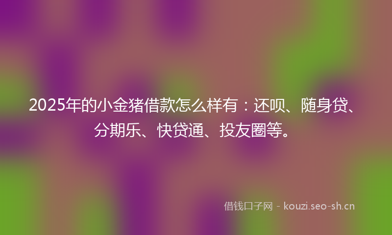 2025年的小金猪借款怎么样有：还呗、随身贷、分期乐、快贷通、投友圈等。