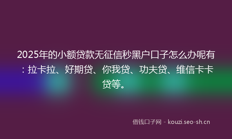 2025年的小额贷款无征信秒黑户口子怎么办呢有：拉卡拉、好期贷、你我贷、功夫贷、维信卡卡贷等。