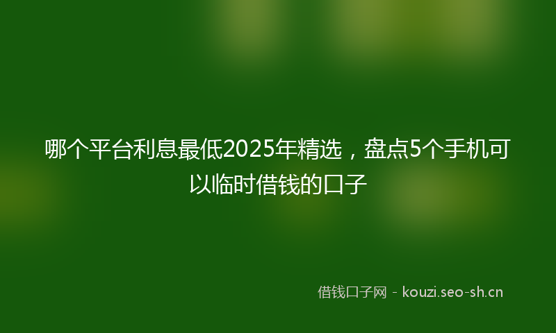 哪个平台利息最低2025年精选，盘点5个手机可以临时借钱的口子