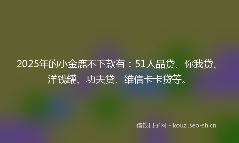 2025年的小金鹿不下款有:51人品贷、你我贷、洋钱罐、功夫贷、维信卡卡贷等。
