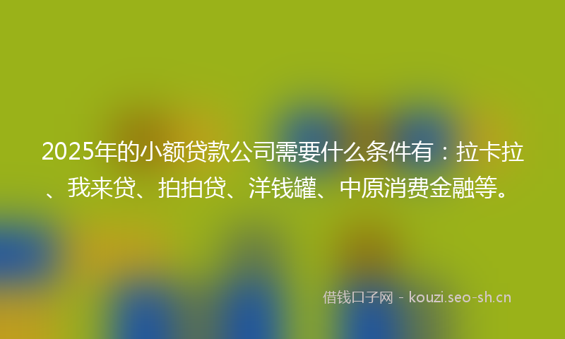 2025年的小额贷款公司需要什么条件有：拉卡拉、我来贷、拍拍贷、洋钱罐、中原消费金融等。