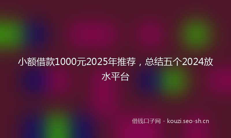 小额借款1000元2025年推荐，总结五个2024放水平台