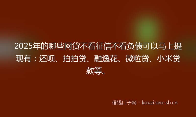 2025年的哪些网贷不看征信不看负债可以马上提现有：还呗、拍拍贷、融逸花、微粒贷、小米贷款等。
