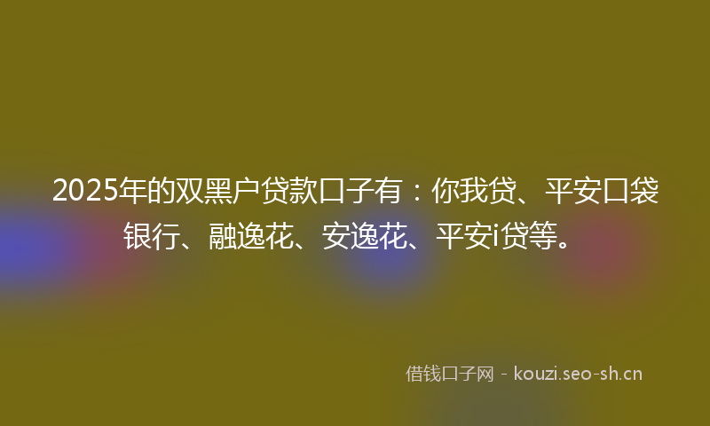 2025年的双黑户贷款口子有：你我贷、平安口袋银行、融逸花、安逸花、平安i贷等。