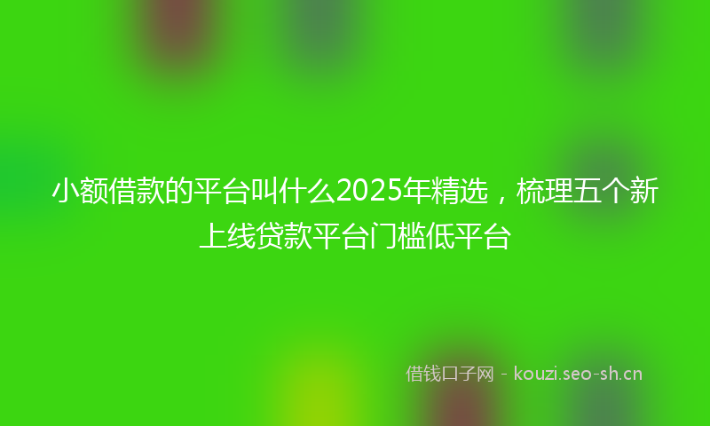 小额借款的平台叫什么2025年精选，梳理五个新上线贷款平台门槛低平台