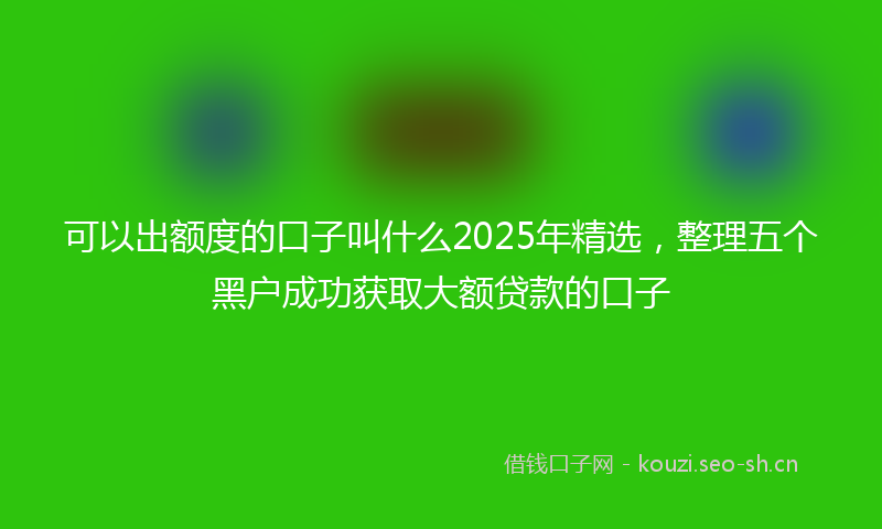 可以出额度的口子叫什么2025年精选，整理五个黑户成功获取大额贷款的口子