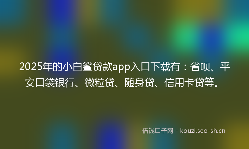2025年的小白鲨贷款app入口下载有：省呗、平安口袋银行、微粒贷、随身贷、信用卡贷等。