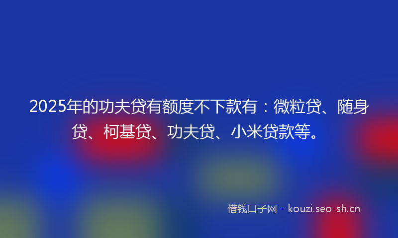 2025年的功夫贷有额度不下款有:微粒贷、随身贷、柯基贷、功夫贷、小米贷款等。