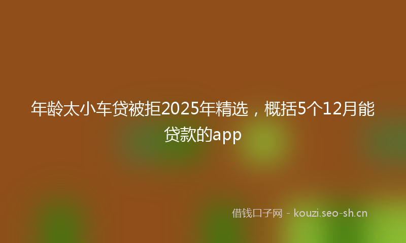 年龄太小车贷被拒2025年精选，概括5个12月能贷款的app