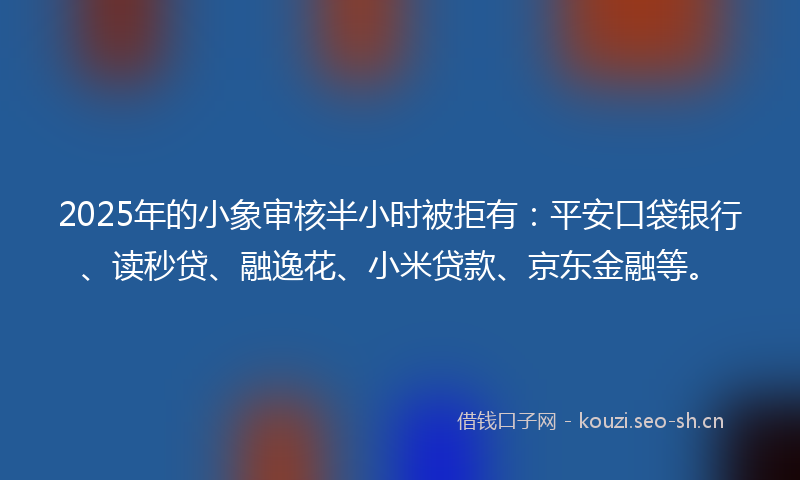 2025年的小象审核半小时被拒有：平安口袋银行、读秒贷、融逸花、小米贷款、京东金融等。