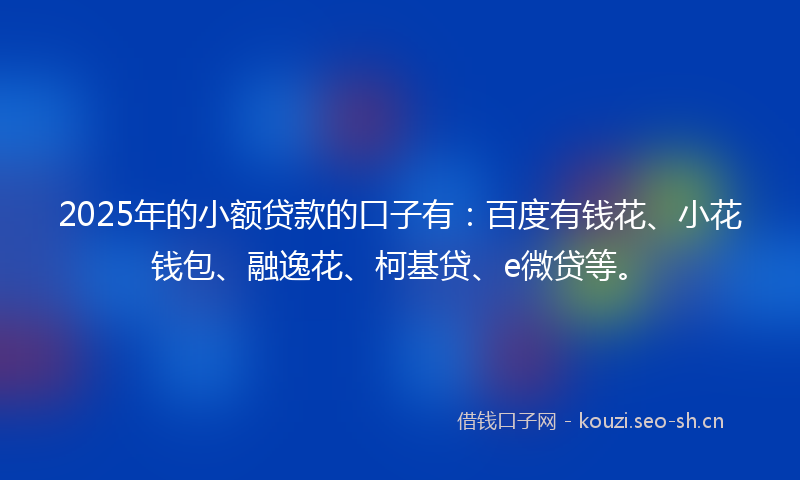 2025年的小额贷款的口子有：百度有钱花、小花钱包、融逸花、柯基贷、e微贷等。