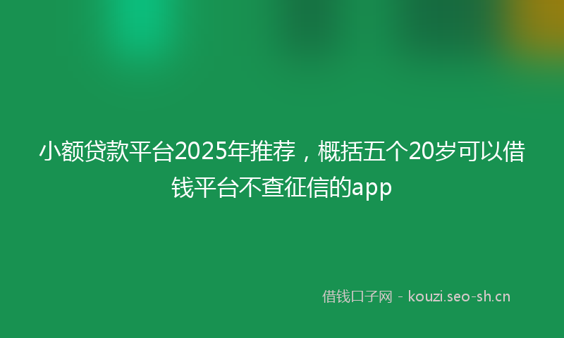小额贷款平台2025年推荐，概括五个20岁可以借钱平台不查征信的app