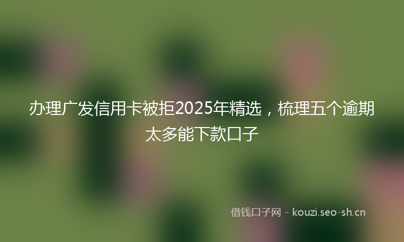 办理广发信用卡被拒2025年精选，梳理五个逾期太多能下款口子