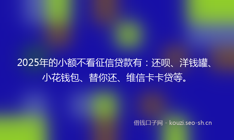 2025年的小额不看征信贷款有：还呗、洋钱罐、小花钱包、替你还、维信卡卡贷等。