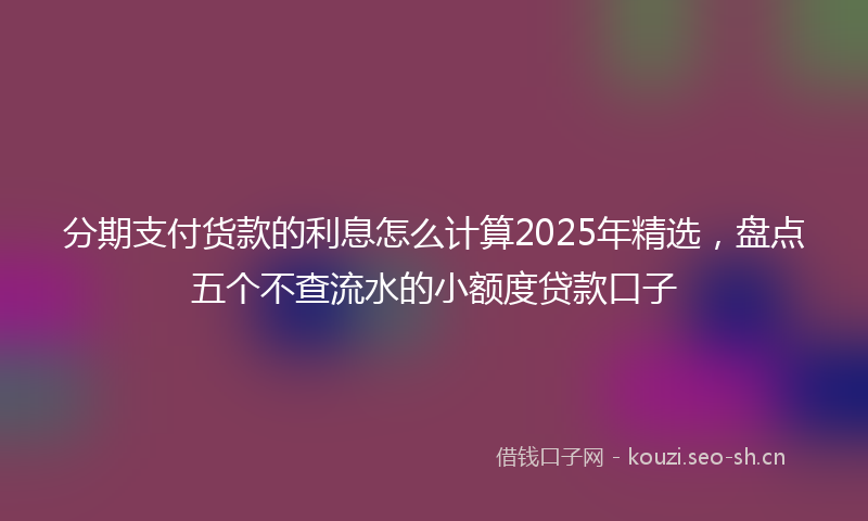 分期支付货款的利息怎么计算2025年精选，盘点五个不查流水的小额度贷款口子