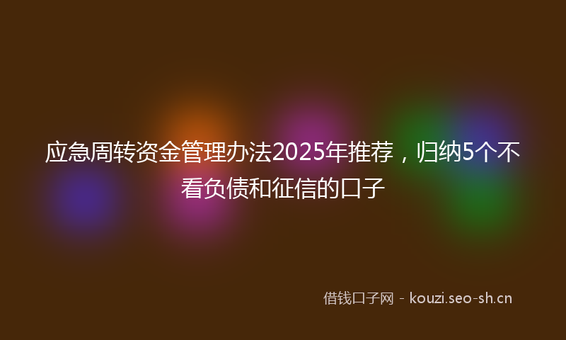 应急周转资金管理办法2025年推荐，归纳5个不看负债和征信的口子