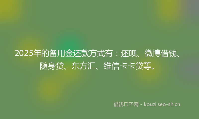 2025年的备用金还款方式有:还呗、微博借钱、随身贷、东方汇、维信卡卡贷等。