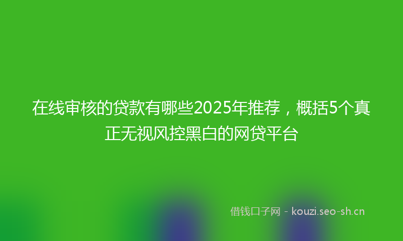 在线审核的贷款有哪些2025年推荐，概括5个真正无视风控黑白的网贷平台