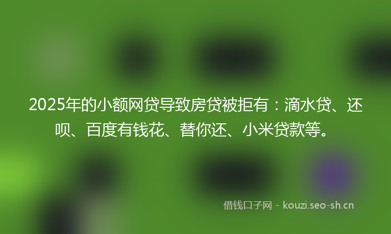 2025年的小额网贷导致房贷被拒有：滴水贷、还呗、百度有钱花、替你还、小米贷款等。