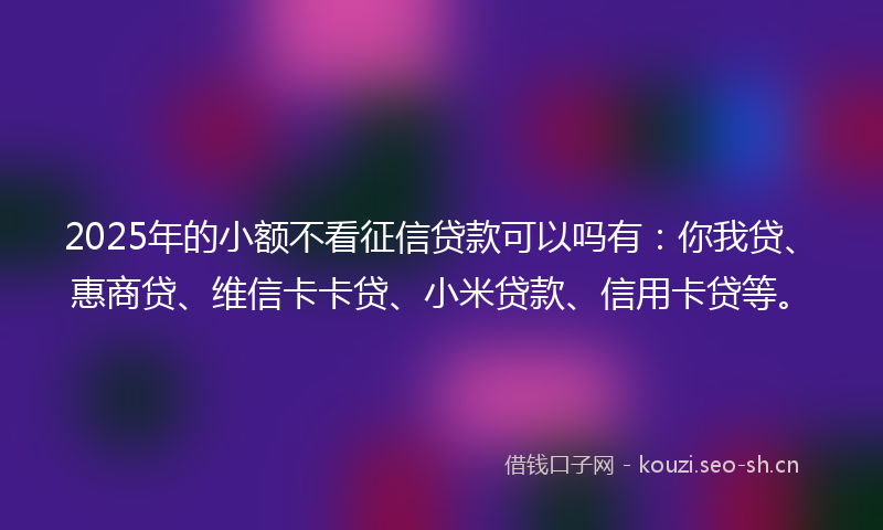 2025年的小额不看征信贷款可以吗有:你我贷、惠商贷、维信卡卡贷、小米贷款、信用卡贷等。
