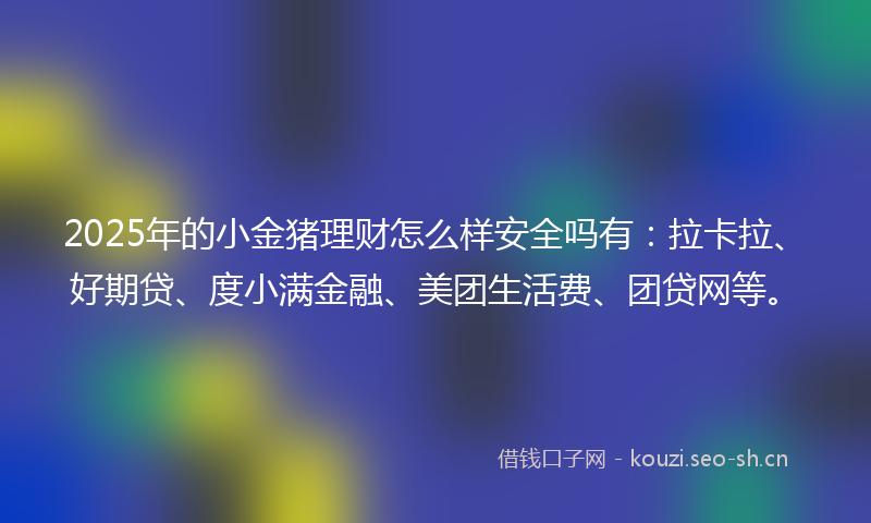 2025年的小金猪理财怎么样安全吗有：拉卡拉、好期贷、度小满金融、美团生活费、团贷网等。