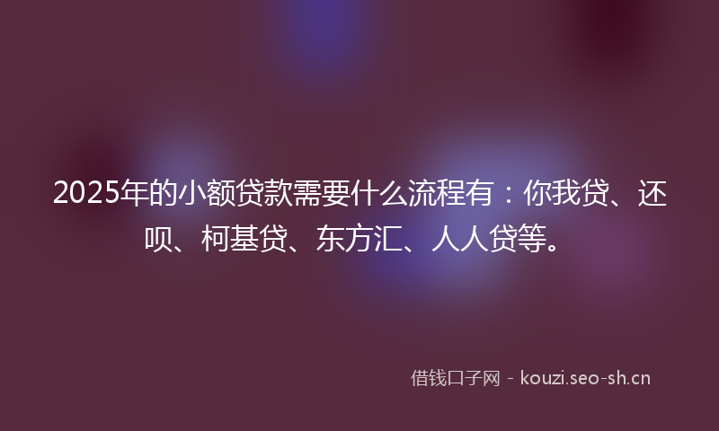 2025年的小额贷款需要什么流程有：你我贷、还呗、柯基贷、东方汇、人人贷等。