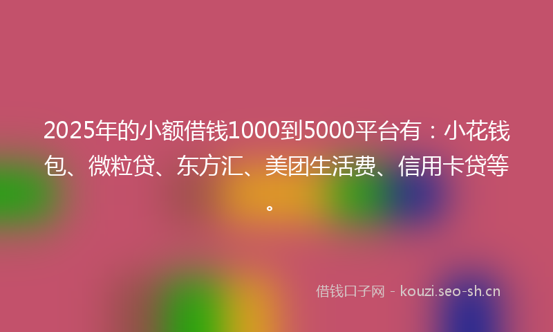 2025年的小额借钱1000到5000平台有：小花钱包、微粒贷、东方汇、美团生活费、信用卡贷等。