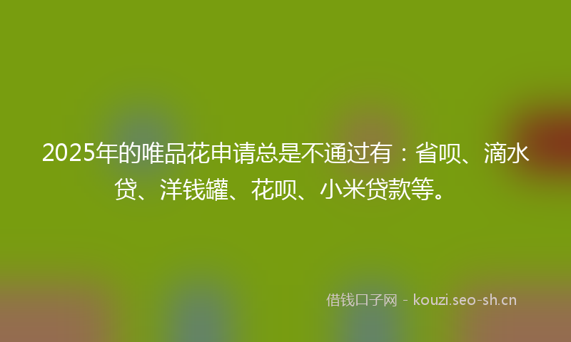 2025年的唯品花申请总是不通过有:省呗、滴水贷、洋钱罐、花呗、小米贷款等。