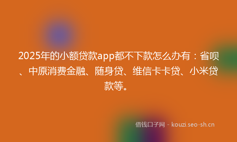 2025年的小额贷款app都不下款怎么办有：省呗、中原消费金融、随身贷、维信卡卡贷、小米贷款等。
