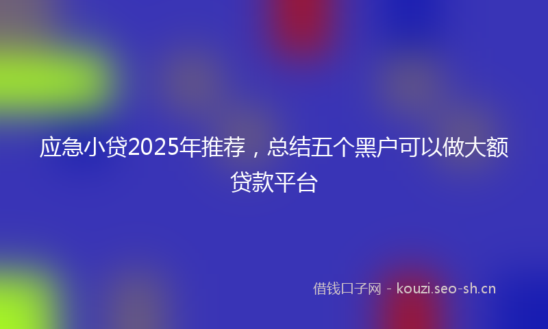 应急小贷2025年推荐，总结五个黑户可以做大额贷款平台