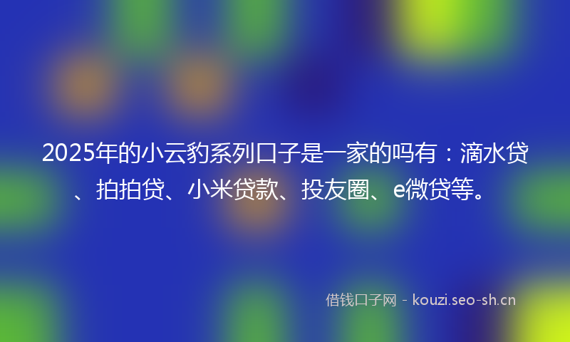 2025年的小云豹系列口子是一家的吗有：滴水贷、拍拍贷、小米贷款、投友圈、e微贷等。