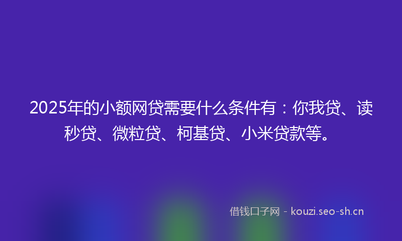 2025年的小额网贷需要什么条件有：你我贷、读秒贷、微粒贷、柯基贷、小米贷款等。