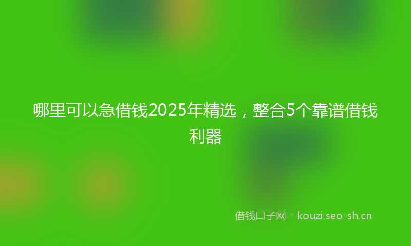 哪里可以急借钱2025年精选,整合5个靠谱借钱利器