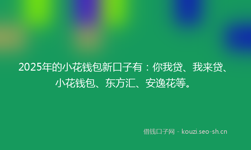 2025年的小花钱包新口子有：你我贷、我来贷、小花钱包、东方汇、安逸花等。