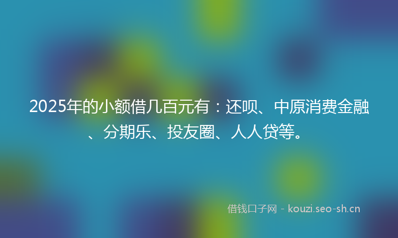 2025年的小额借几百元有：还呗、中原消费金融、分期乐、投友圈、人人贷等。