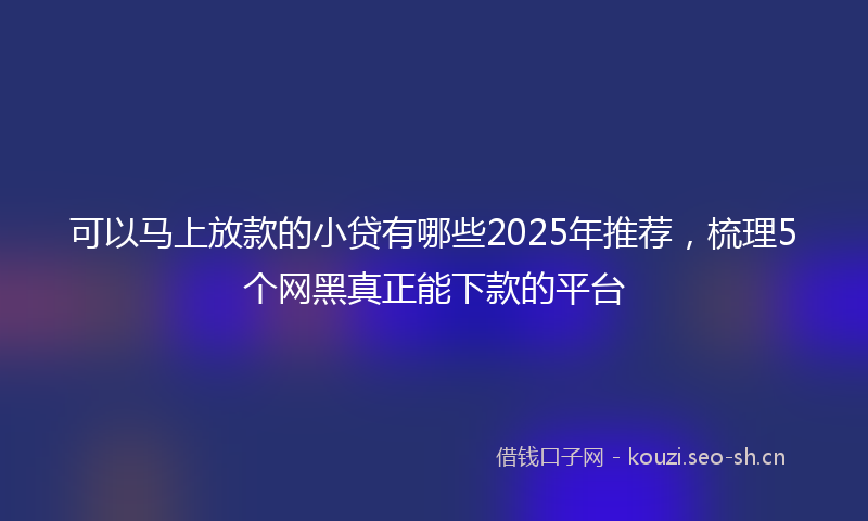 可以马上放款的小贷有哪些2025年推荐，梳理5个网黑真正能下款的平台