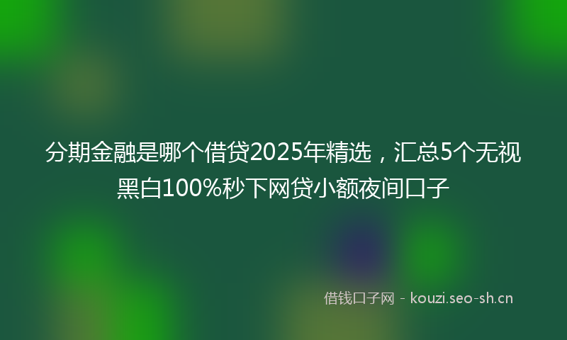 分期金融是哪个借贷2025年精选，汇总5个无视黑白100%秒下网贷小额夜间口子