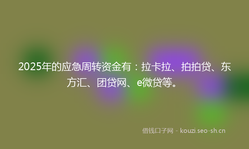 2025年的应急周转资金有：拉卡拉、拍拍贷、东方汇、团贷网、e微贷等。