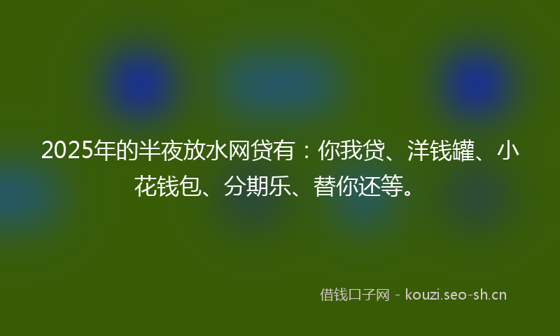 2025年的半夜放水网贷有：你我贷、洋钱罐、小花钱包、分期乐、替你还等。