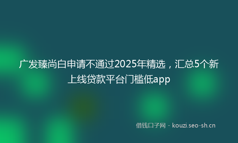 广发臻尚白申请不通过2025年精选，汇总5个新上线贷款平台门槛低app